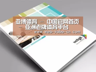项目名称九