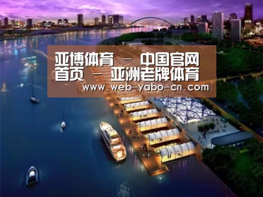 案例展示八