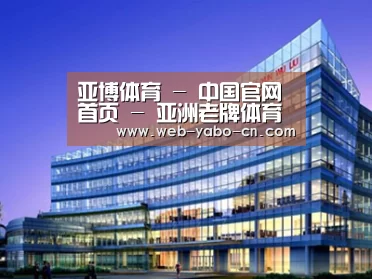 案例展示五